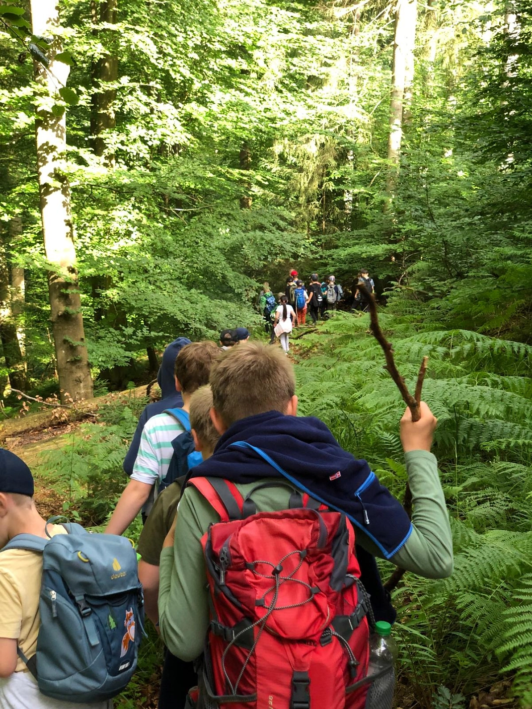 Wandertag 2.jpg © Ilsetalschule