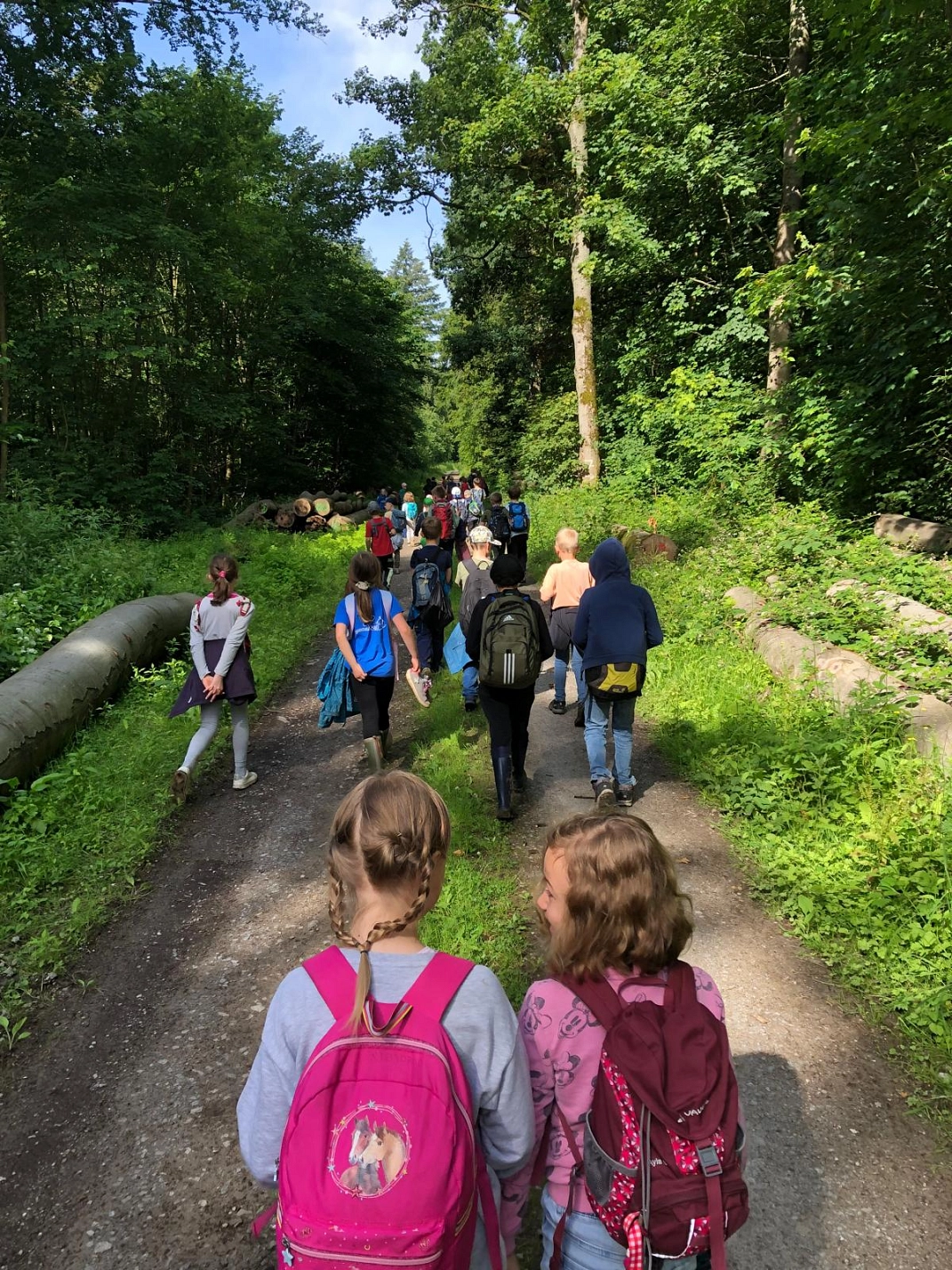 Wandertag 7.jpg © Ilsetalschule